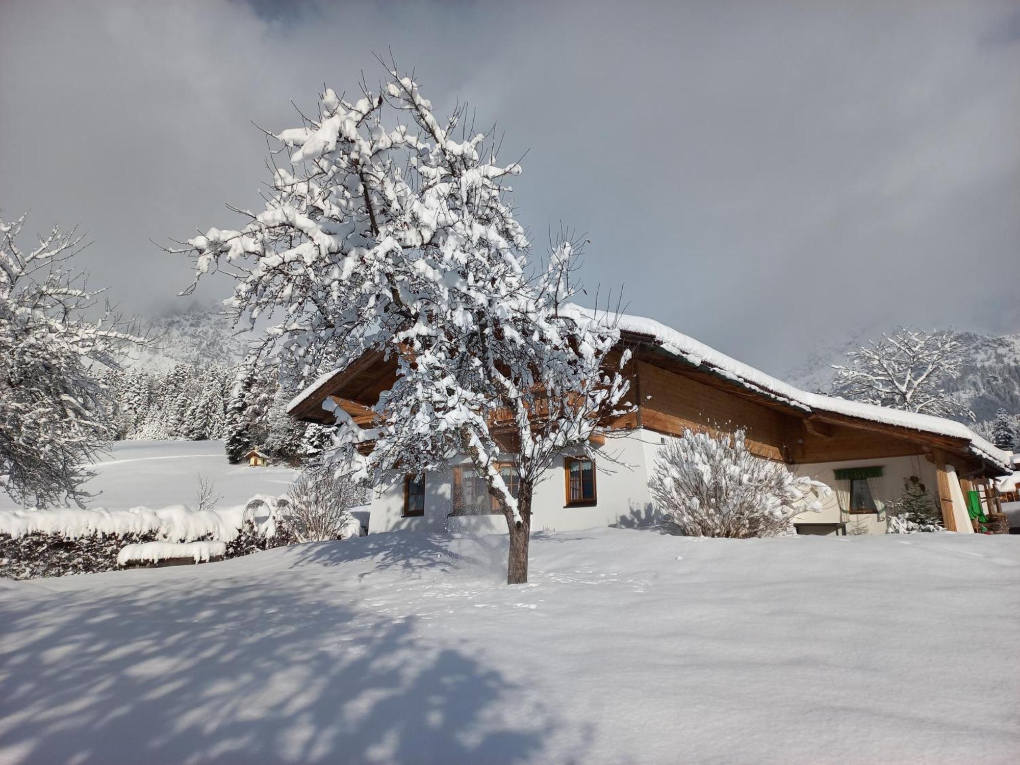 Chalet Gluecklich Sein... Ellmau Ngoại thất bức ảnh